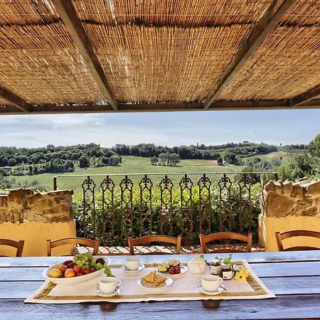 Sunshine * 감바시